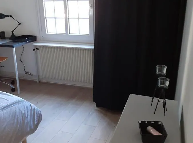 Coquet 6 Personnes Avec Jardin * Wintzenheim