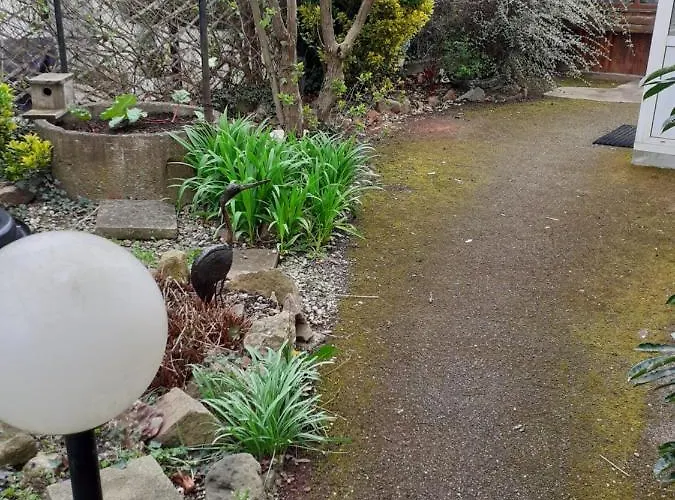 Coquet 6 Personnes Avec Jardin Lejlighed *