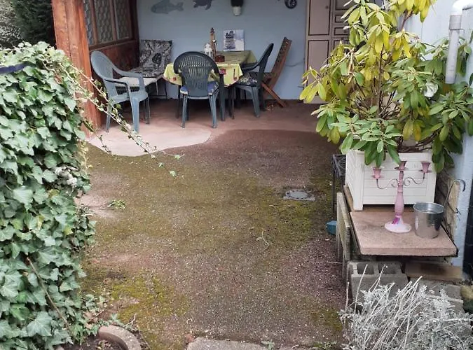 Lejlighed Coquet 6 Personnes Avec Jardin *